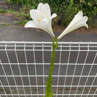 画像374